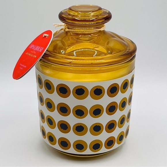 Opalhouse Jungalow Candle Lemon Verbena Geranium Two Wick Burns 45 Hours Target - Picture 1 of 8